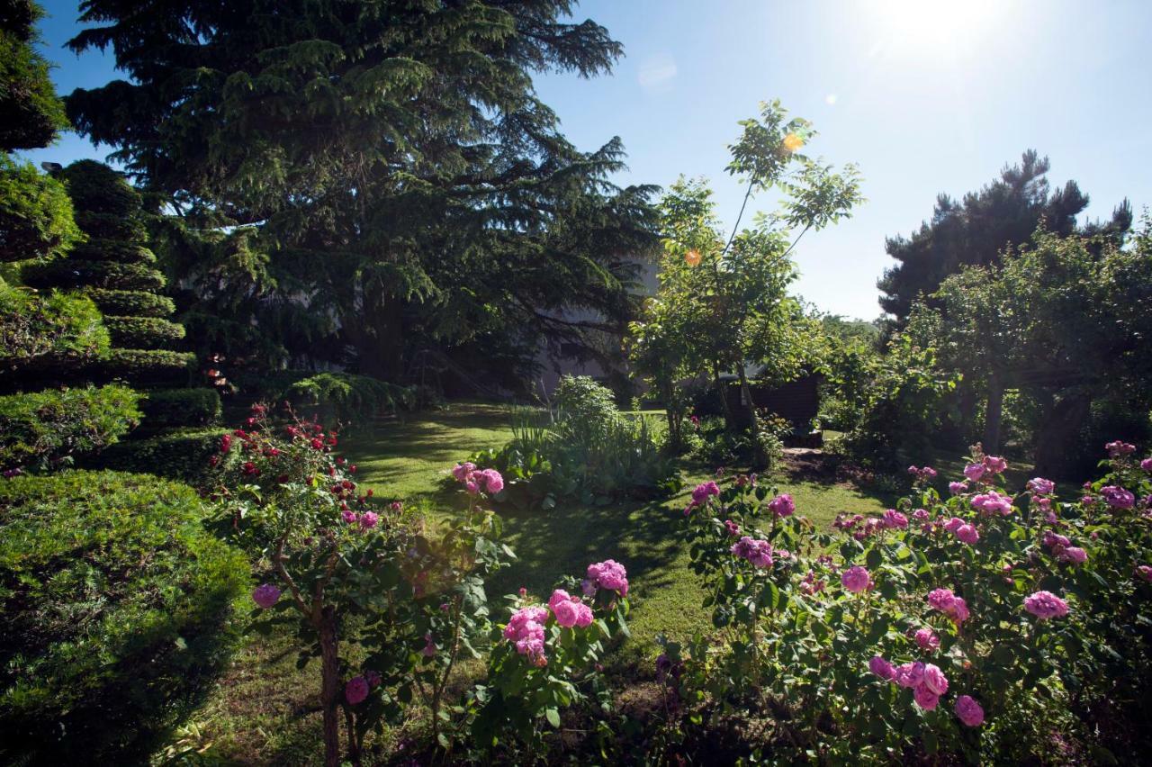 Hazelnut Valley Guarene Εξωτερικό φωτογραφία