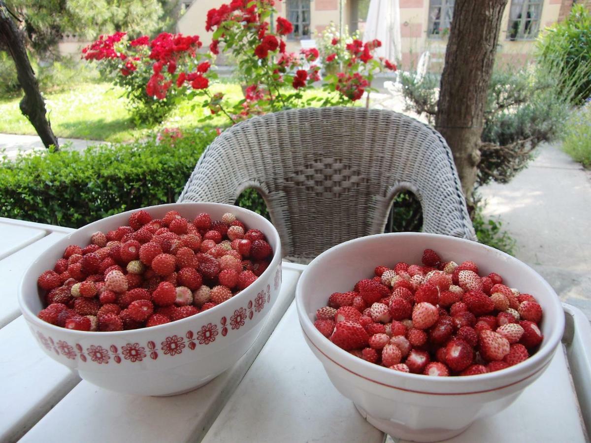 Hazelnut Valley Guarene Εξωτερικό φωτογραφία